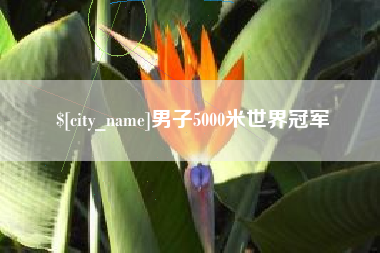 甘南男子5000米世界冠军
