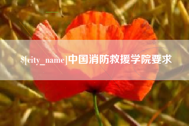 甘南中国消防救援学院要求