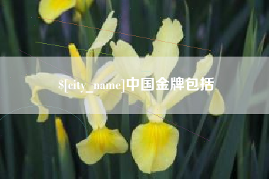 甘南中国金牌包括