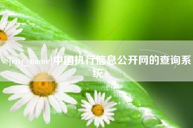 甘南中国执行信息公开网的查询系统