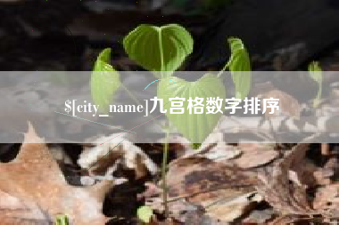 甘南九宫格数字排序