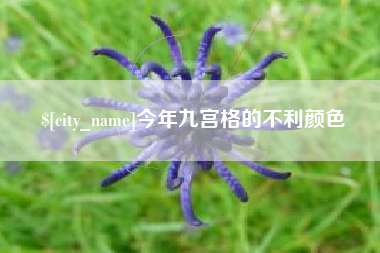 甘南今年九宫格的不利颜色
