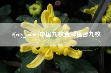 甘南中国九枚金牌是哪九枚