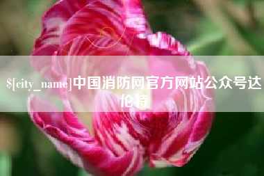 甘南中国消防网官方网站公众号达伦特