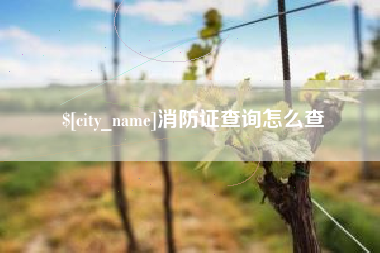 甘南消防证查询怎么查