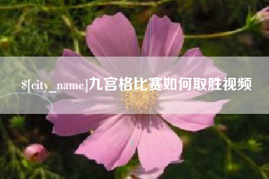 甘南九宫格比赛如何取胜视频