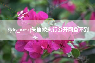甘南失信被执行公开网查不到