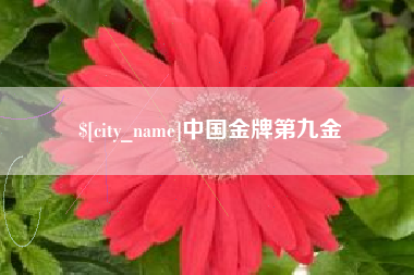 甘南中国金牌第九金
