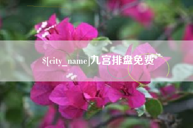 甘南九宫排盘免费