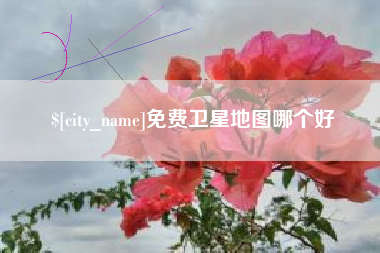 甘南免费卫星地图哪个好