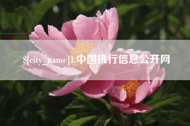 甘南1.中国执行信息公开网