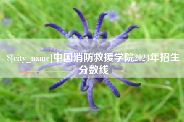 甘南中国消防救援学院2024年招生分数线