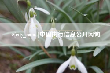 甘南中国执行信息公开网询