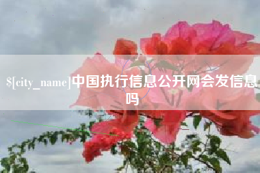 甘南中国执行信息公开网会发信息吗