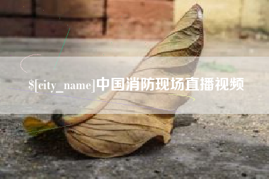 甘南中国消防现场直播视频