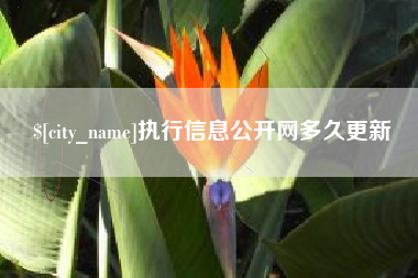 甘南执行信息公开网多久更新