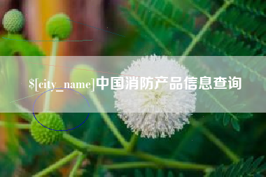 甘南中国消防产品信息查询