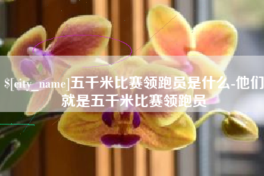 甘南五千米比赛领跑员是什么-他们就是五千米比赛领跑员
