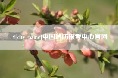 甘南中国消防报考中心官网