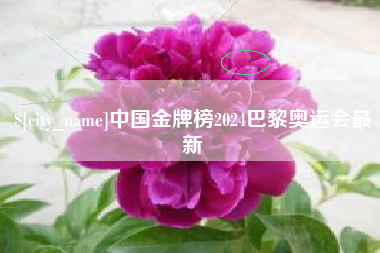 甘南中国金牌榜2024巴黎奥运会最新