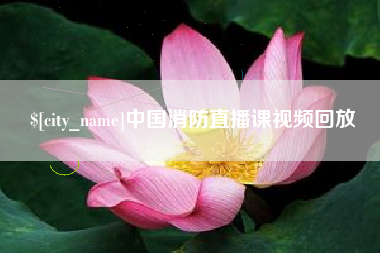 甘南中国消防直播课视频回放