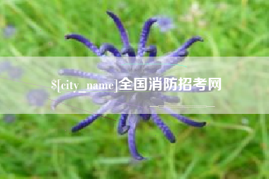 甘南全国消防招考网