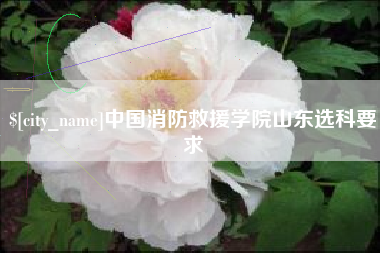 甘南中国消防救援学院山东选科要求