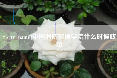 甘南中国消防救援学院什么时候政审