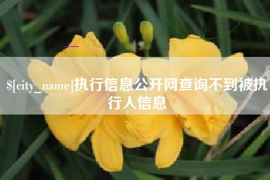 甘南执行信息公开网查询不到被执行人信息