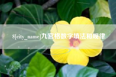甘南九宫格数字填法和规律