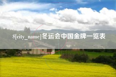 甘南冬运会中国金牌一览表