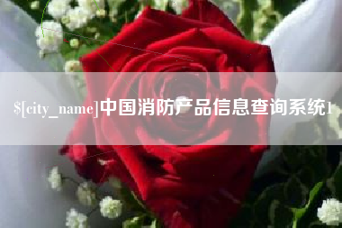 甘南中国消防产品信息查询系统1