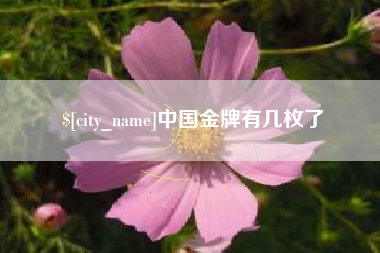 甘南中国金牌有几枚了