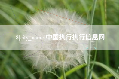 甘南中国执行执行信息网