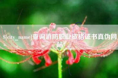 甘南查询消防职业资格证书真伪网站