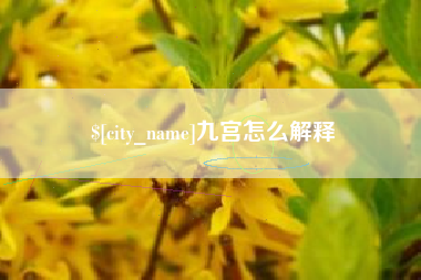 甘南九宫怎么解释