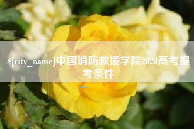 甘南中国消防救援学院2020高考报考条件
