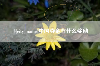 甘南中国夺金有什么奖励