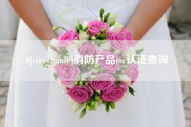 甘南消防产品ccc认证查询