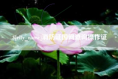 甘南消防证国网查询操作证