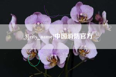 甘南中国消防官方