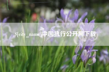 甘南中国执行公开网下载