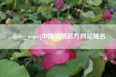 甘南中国消防官方网站域名