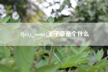 甘南王子豪是个什么