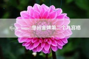甘南奥运金牌第二个九宫格