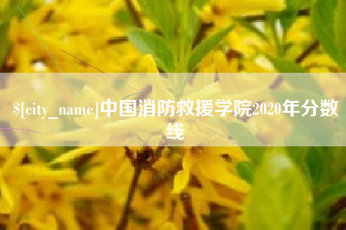 甘南中国消防救援学院2020年分数线