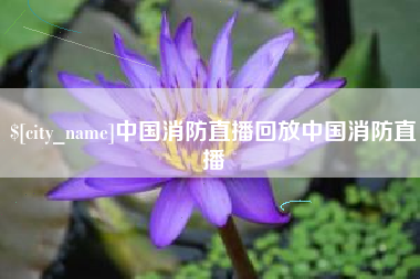 甘南中国消防直播回放中国消防直播