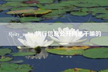 甘南执行信息公开网是干嘛的
