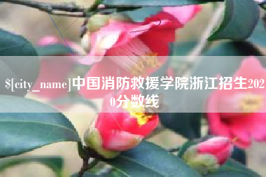 甘南中国消防救援学院浙江招生2020分数线