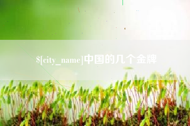 甘南中国的几个金牌